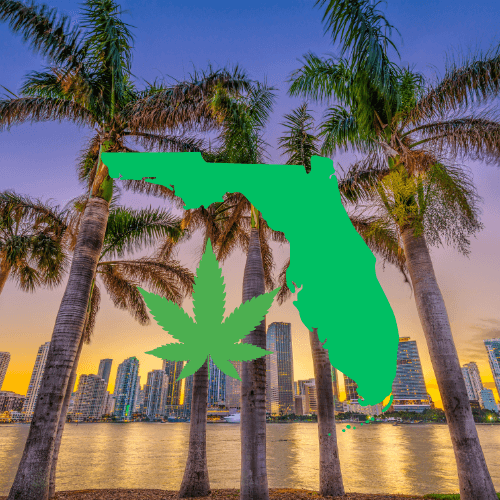 Where to Buy Legal THCA in Florida (2025 Guide)