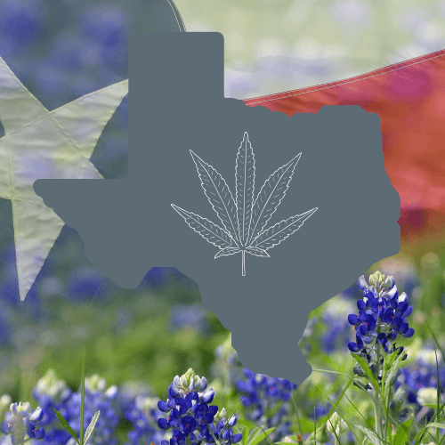Where to Buy Legal THCA in Texas (2025 Guide)
