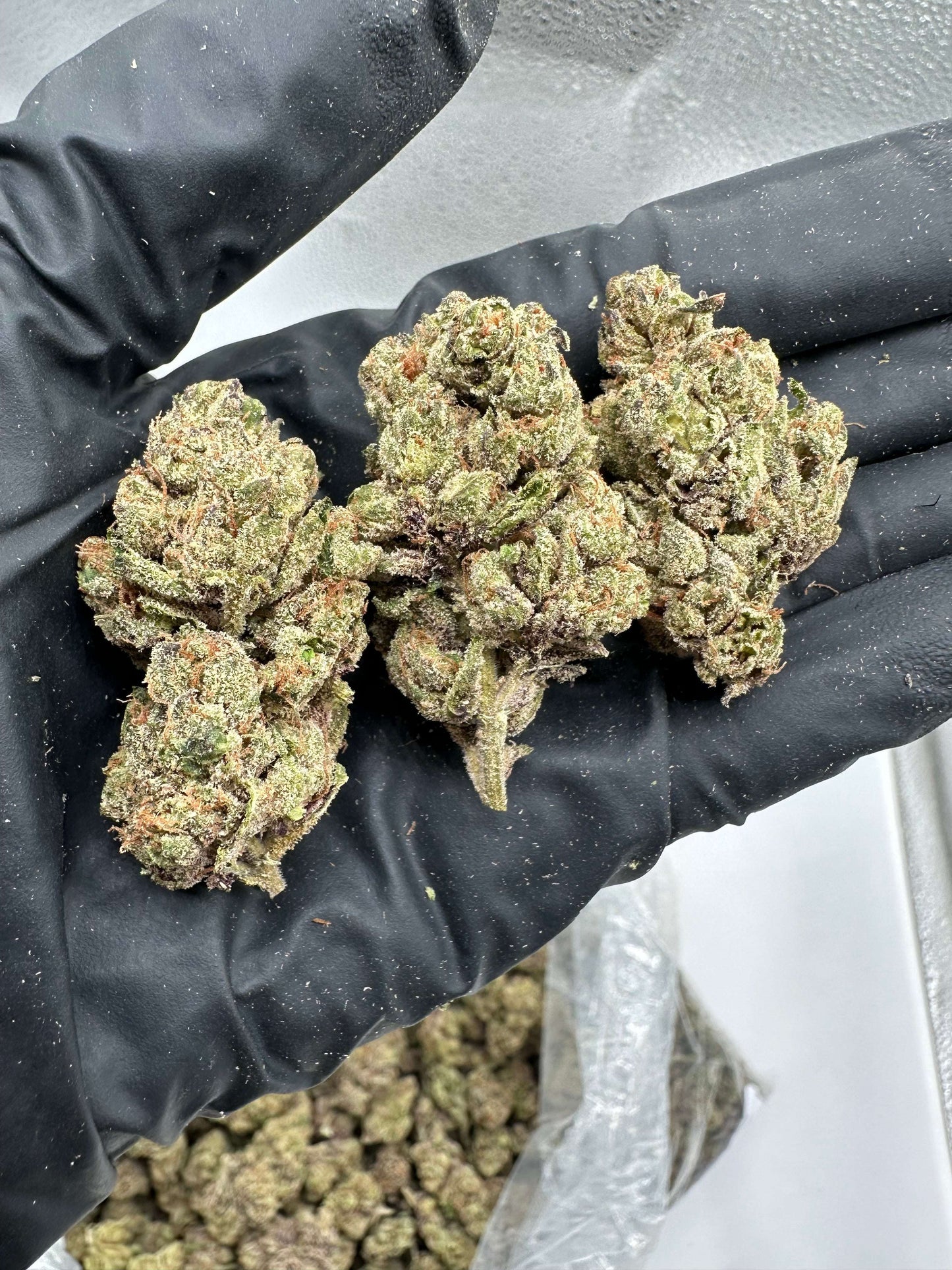 Lemon Cherry Gelato THCA Flower 32.89%