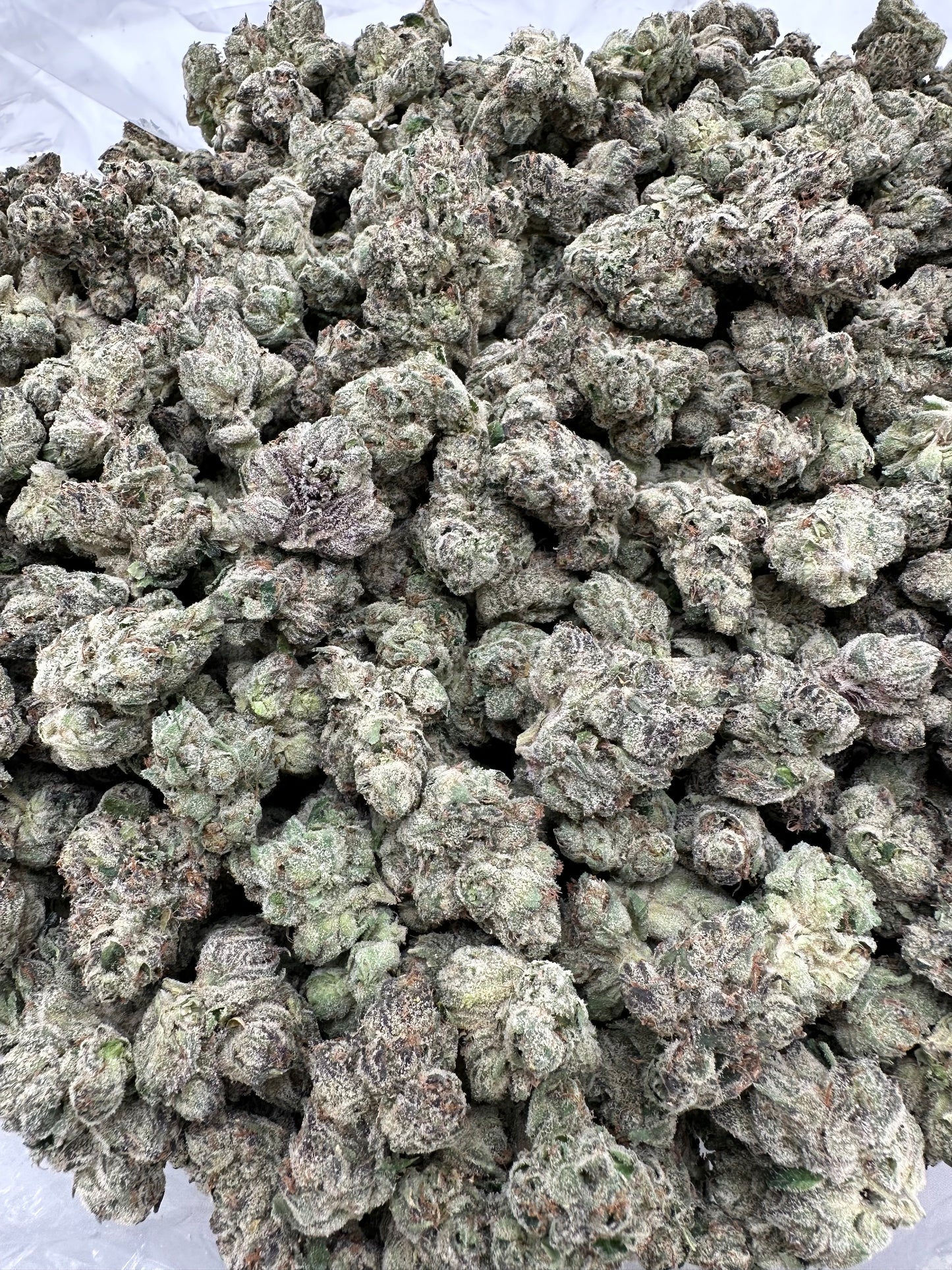 Tropicana Cookies THCA Flower 26.07%