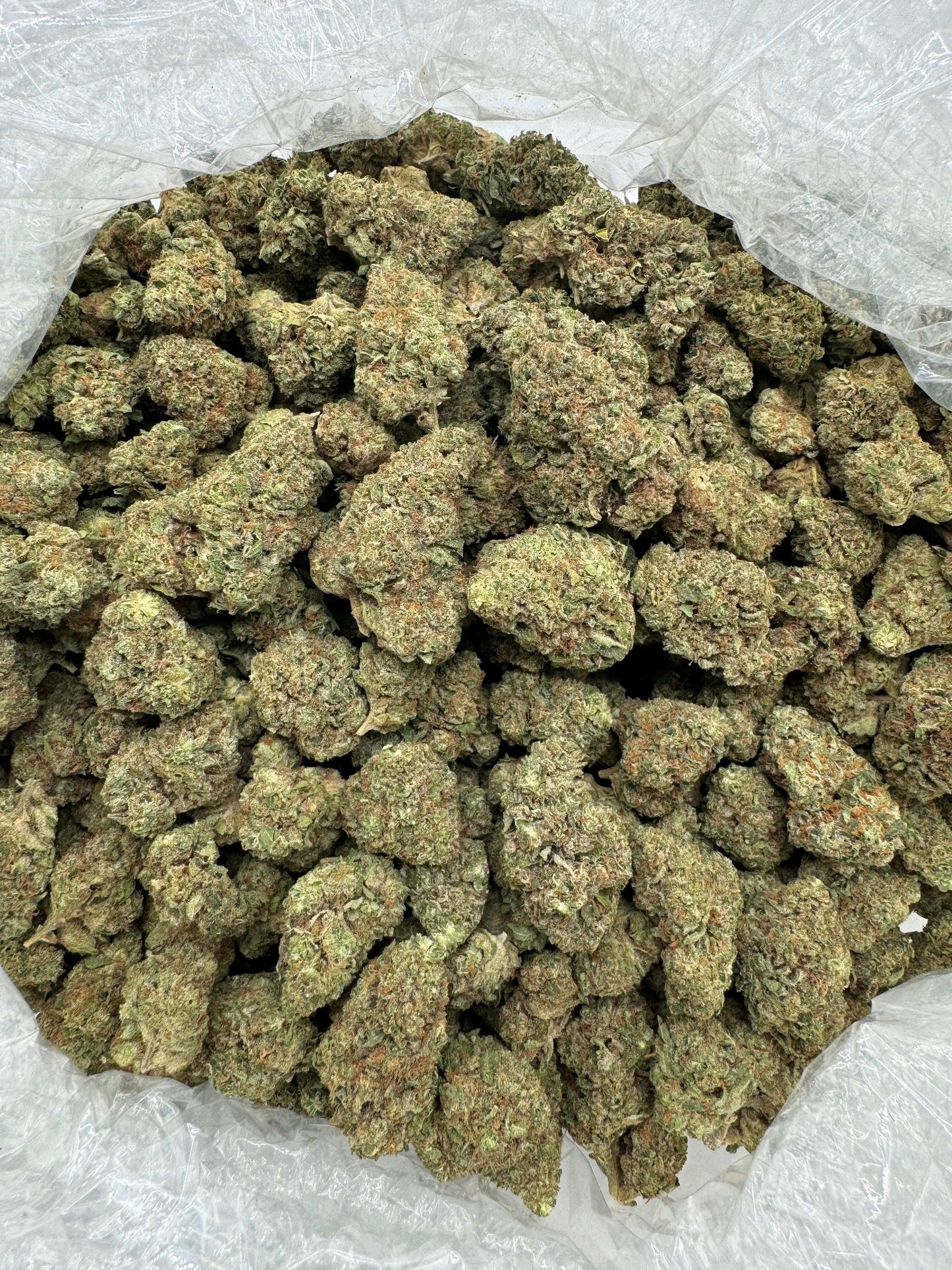 Gorilla Glue (GG#4) THCA Flower 31.25%