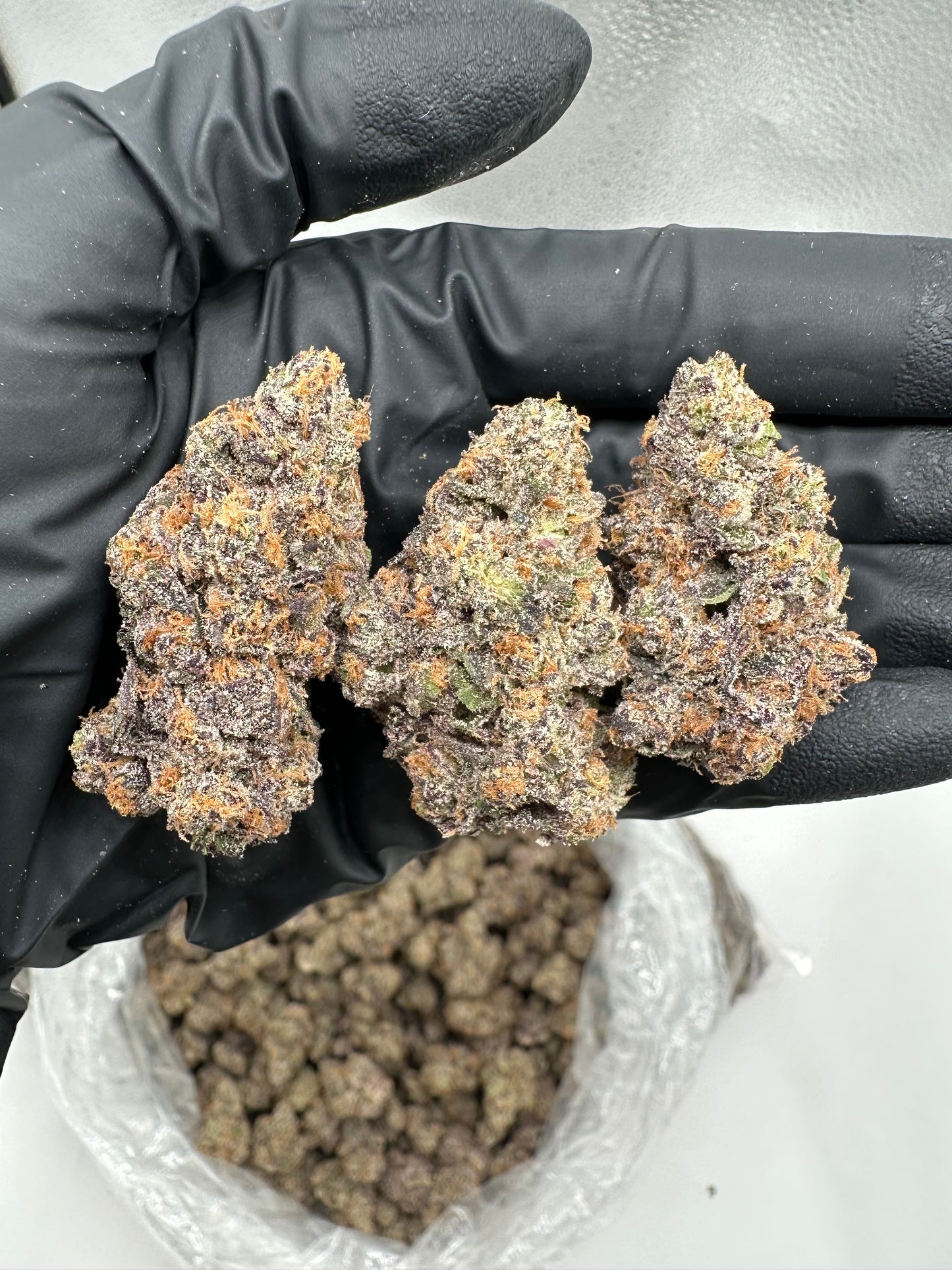 Tropicana Cookies THCA Flower 26.07%