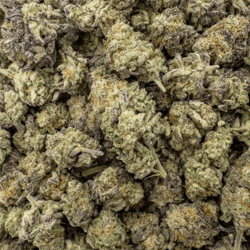 Animal Ice THCa Flower 26.74%