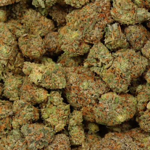 Bulk Blue Guava THCA Flower