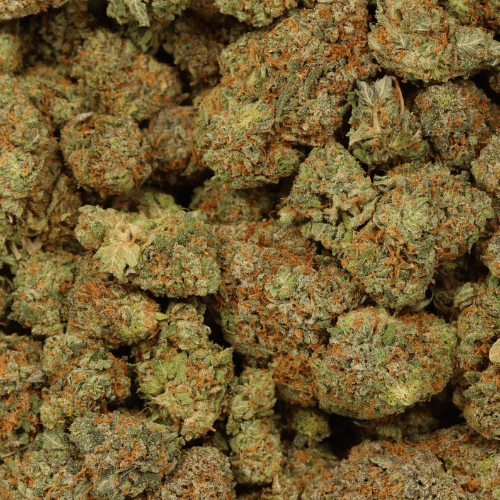 Bulk Blue Guava THCA Flower