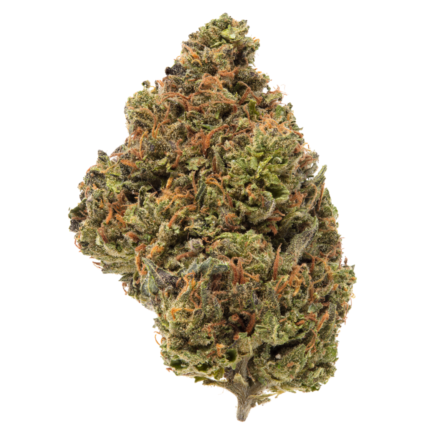 Blue Guava THCA Flower 31.22%