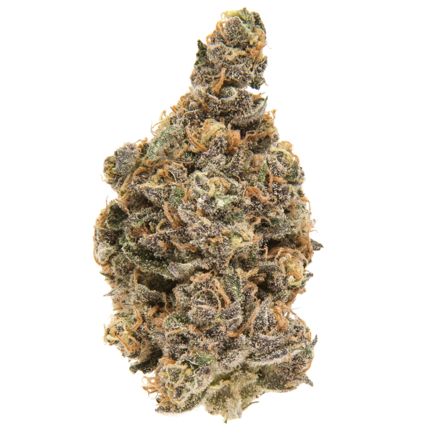 Blueberry Muffin Exotic THCA Flower 27.52%