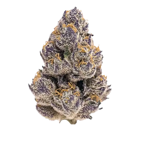 Purple Alien OG Exotic THCA Flower 26.99%