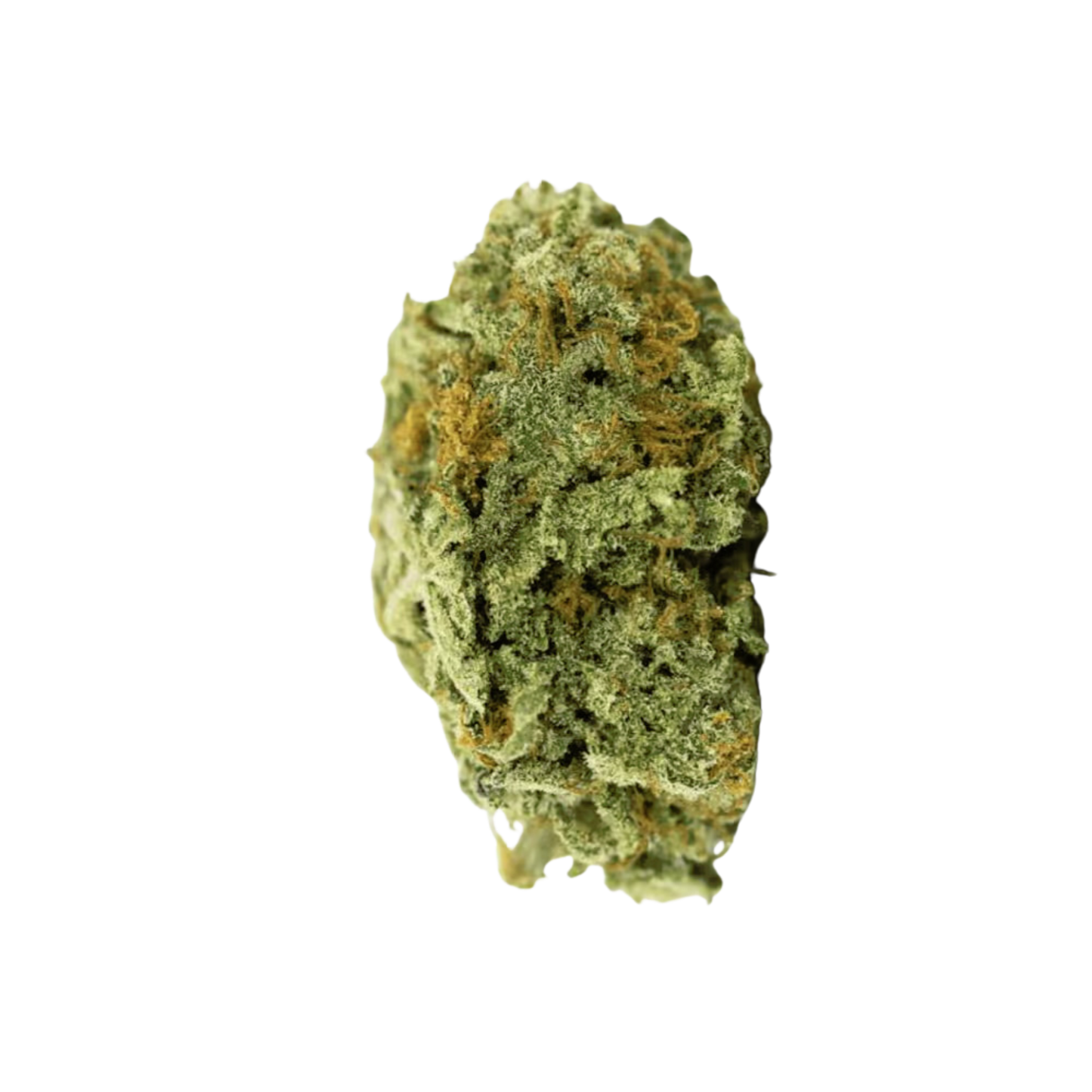 Girl Scout Cookies THCA Flower 28.35%