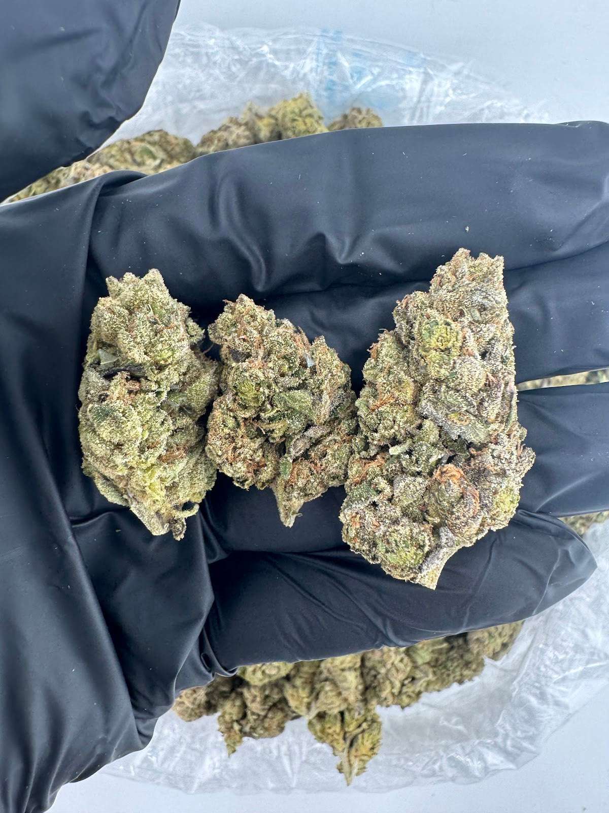 Bulk THCA Flower Pounds | Grape Jolly Ranch | 27.72% Indica