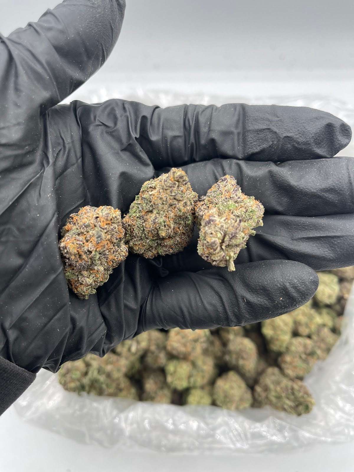 Bulk THCA Flower Pounds | Jelly Zonut | 32.65% Sativa