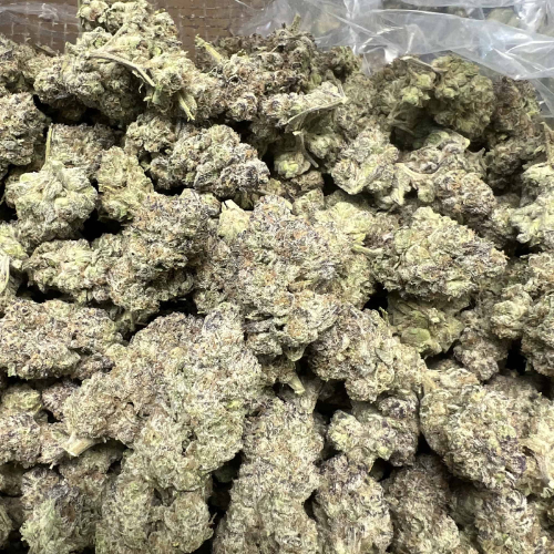 Kush Mints THCA Flower 36.26%