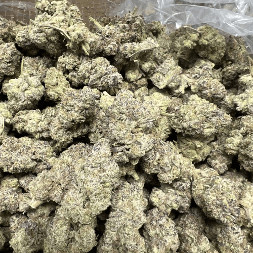 Kush Mints THCA Flower 36.26%