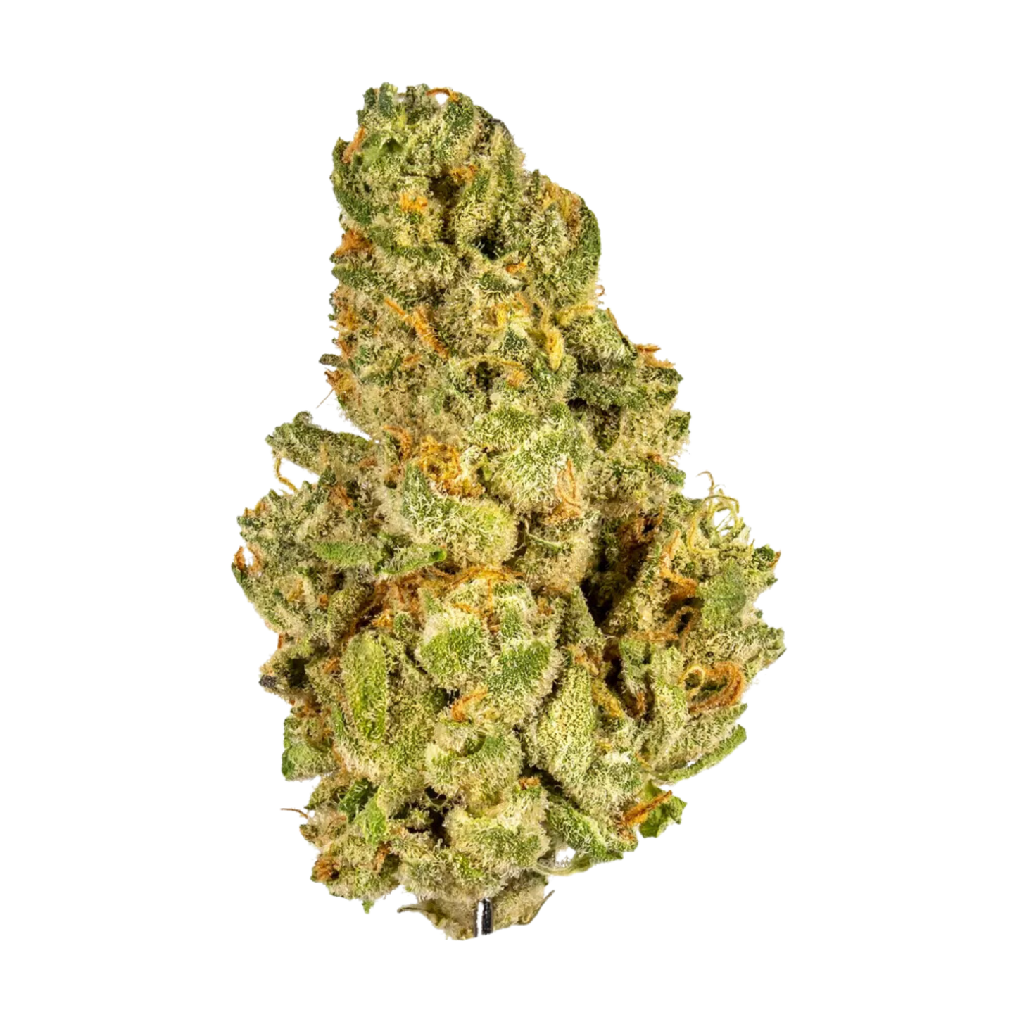 Kush Mints THCA Flower 36.26%