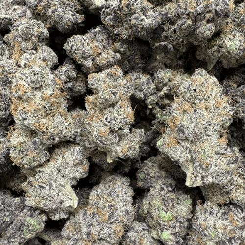 Purple Voodoo Exotic THCA Flower 34.37%