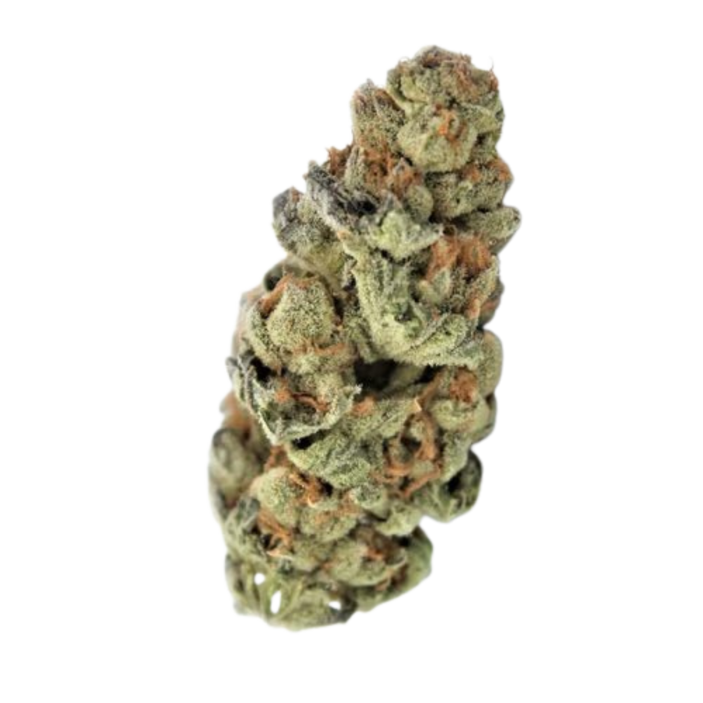 Super Buff Cherry THCA Flower 27.53%