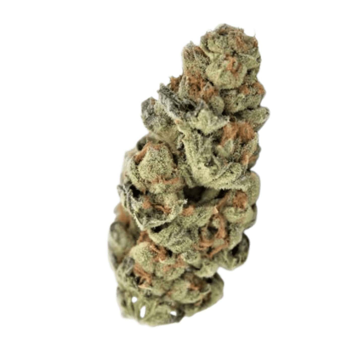 Super Buff Cherry THCA Flower 27.53%