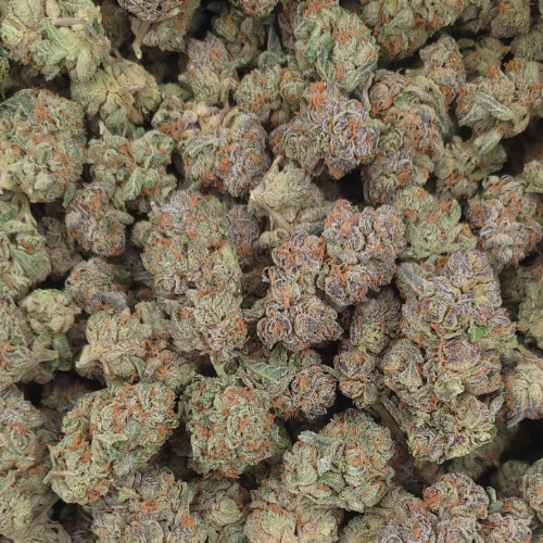 Glitter Bomb THCA Flower 29.00%