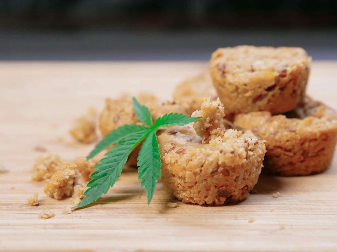 Top 10 Cannabis-Infused Recipes for Beginners