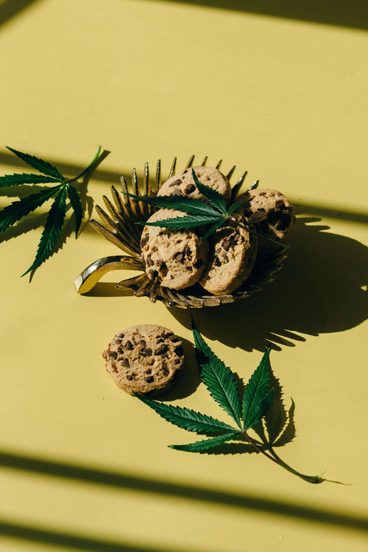 Chewy Chocolate Chip Cookies with Cannabutter