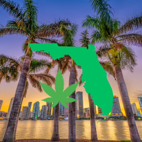 Where to Buy Legal THCA in Florida (2025 Guide)