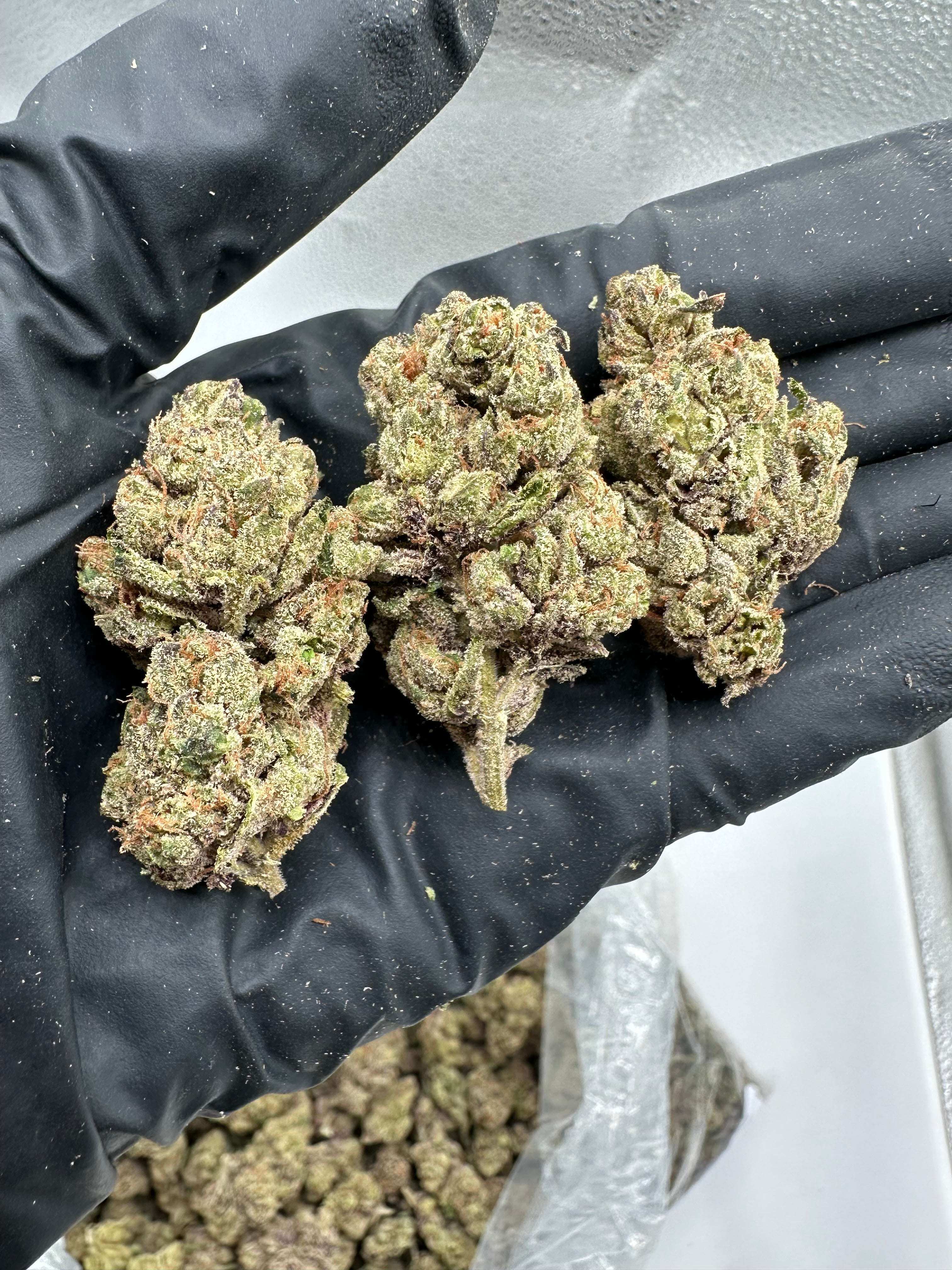 Lemon Cherry Gelato THCA Flower 32.89%