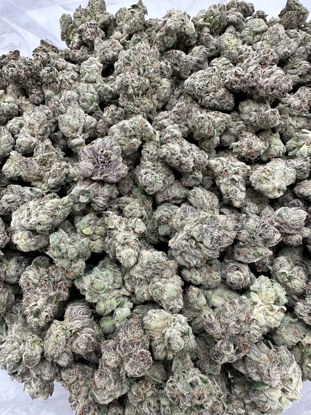 Tropicana Cookies Exotic THCA Flower 26.07%