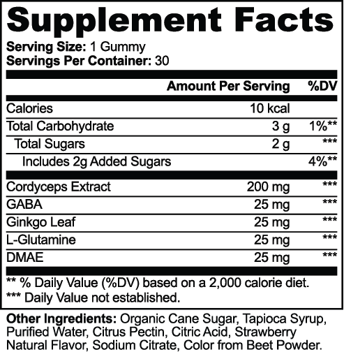 Stonies Cordyceps Energy Gummies, view 6