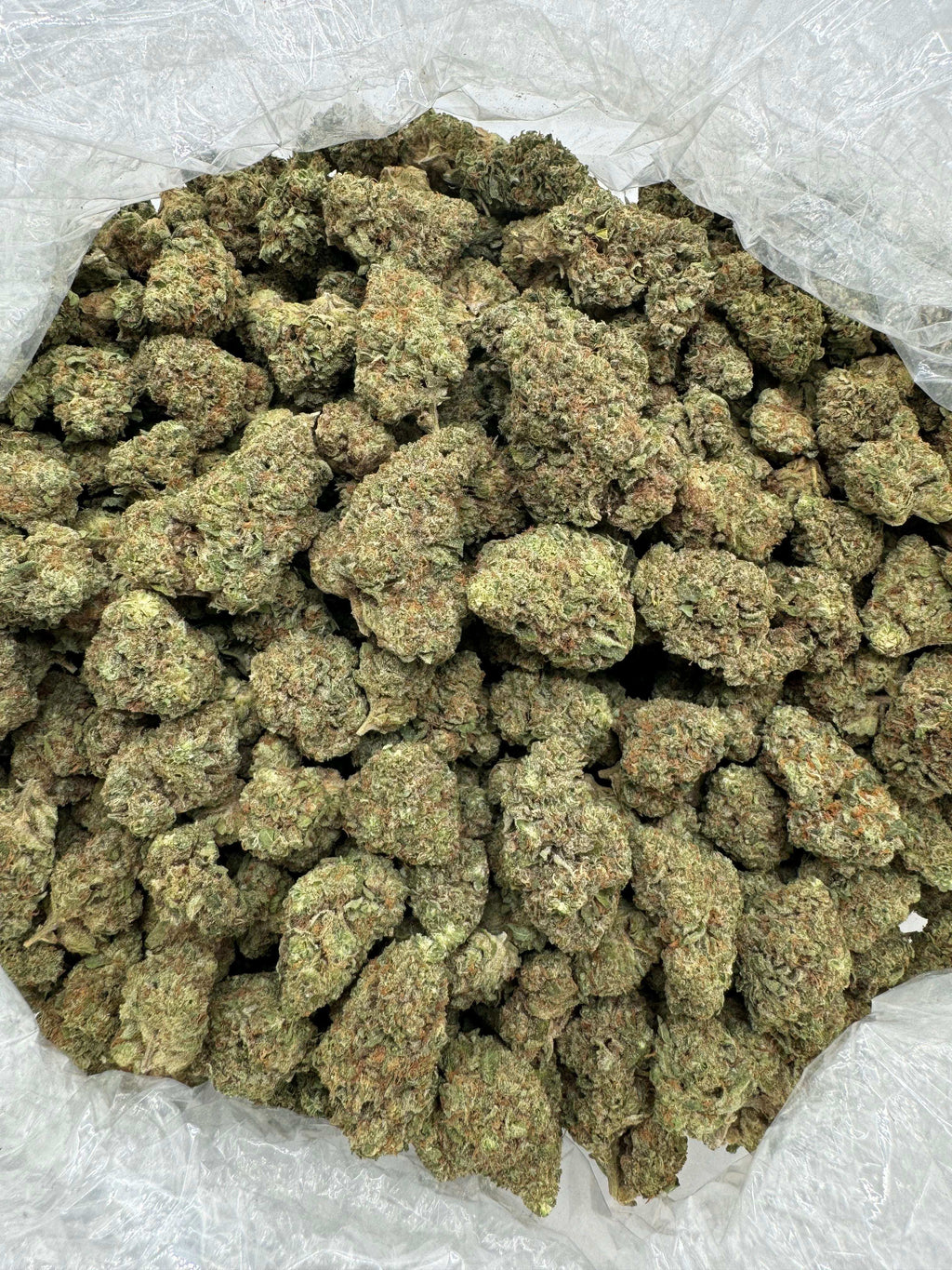 Gorilla Glue (GG#4) THCA Flower 31.25%