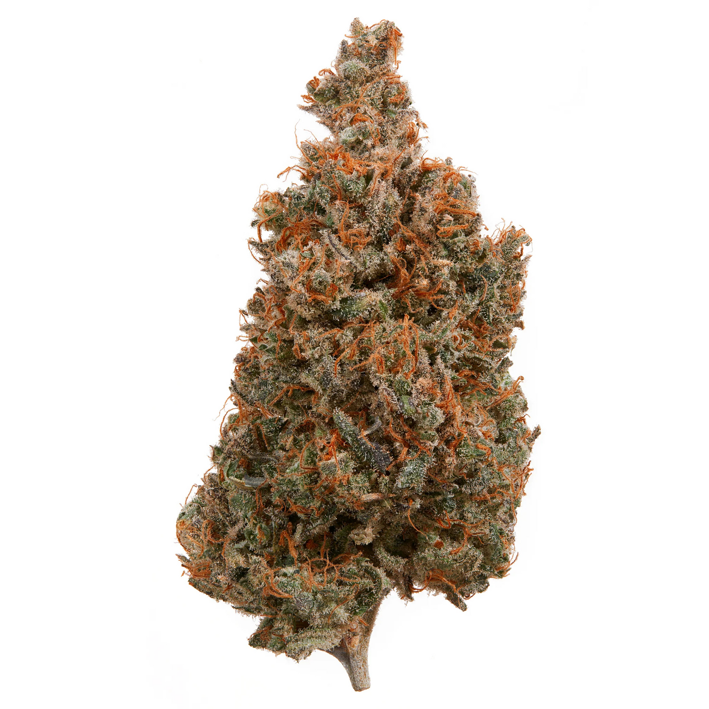 Afghani Mango | Sungrown THCA Flower | Indica 30.61%