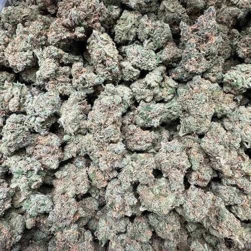 Bulk Blue Dream THCa Flower