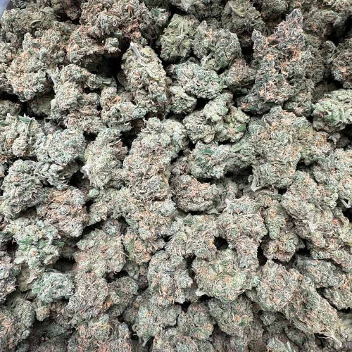 Blue Dream THCA Flower | Sativa-Dominant Hybrid