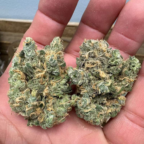 A close up visual of the bright green blue dream strain