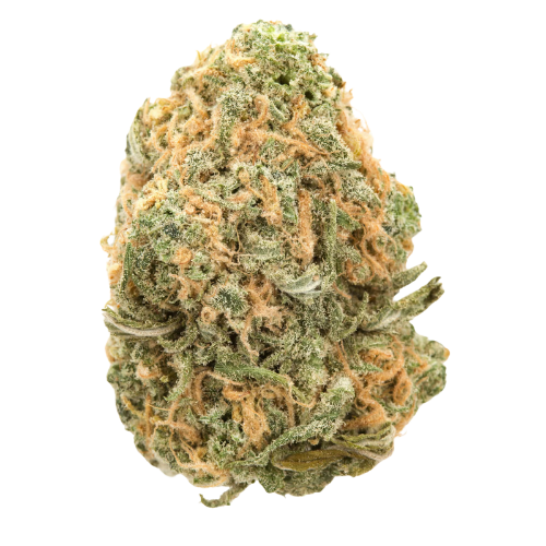 Blue Dream THCA Flower | Sativa-Dominant Hybrid