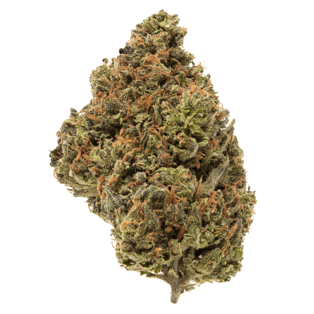 Blue Guava THCA Flower 31.22%
