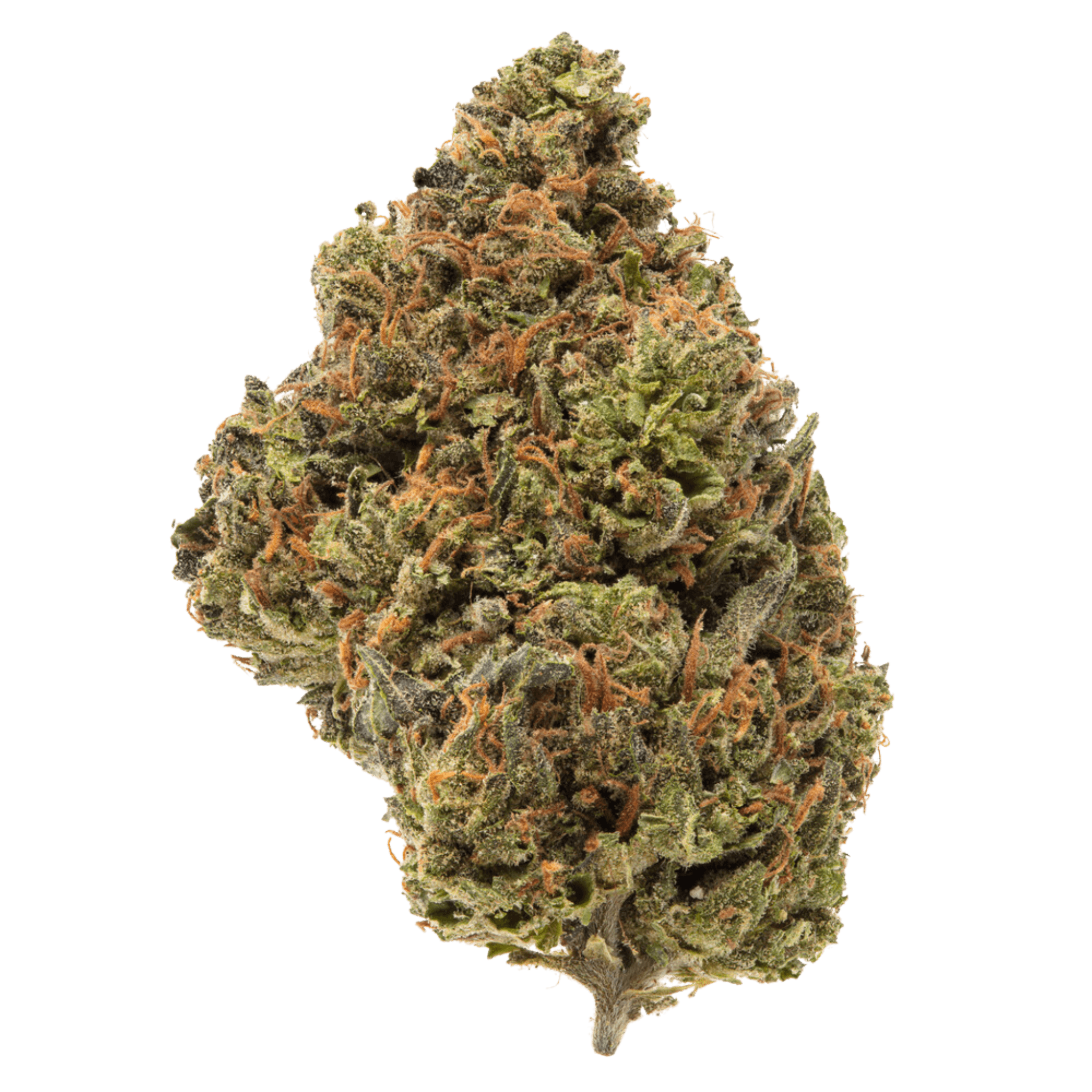 Blue Guava THCA Flower 31.22%