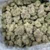 Blueberry Exotic THCA Flower 24.92%