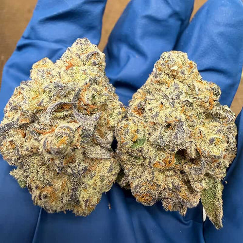 Blueberry Exotic THCA Flower 24.92%
