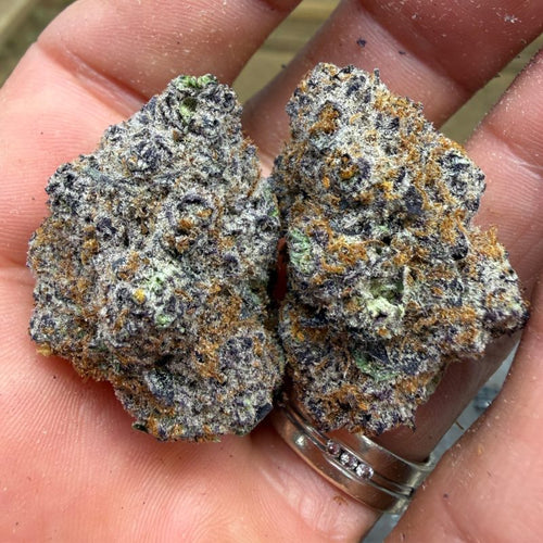 Blueberry Haze Exotic THCA Flower 32.82%