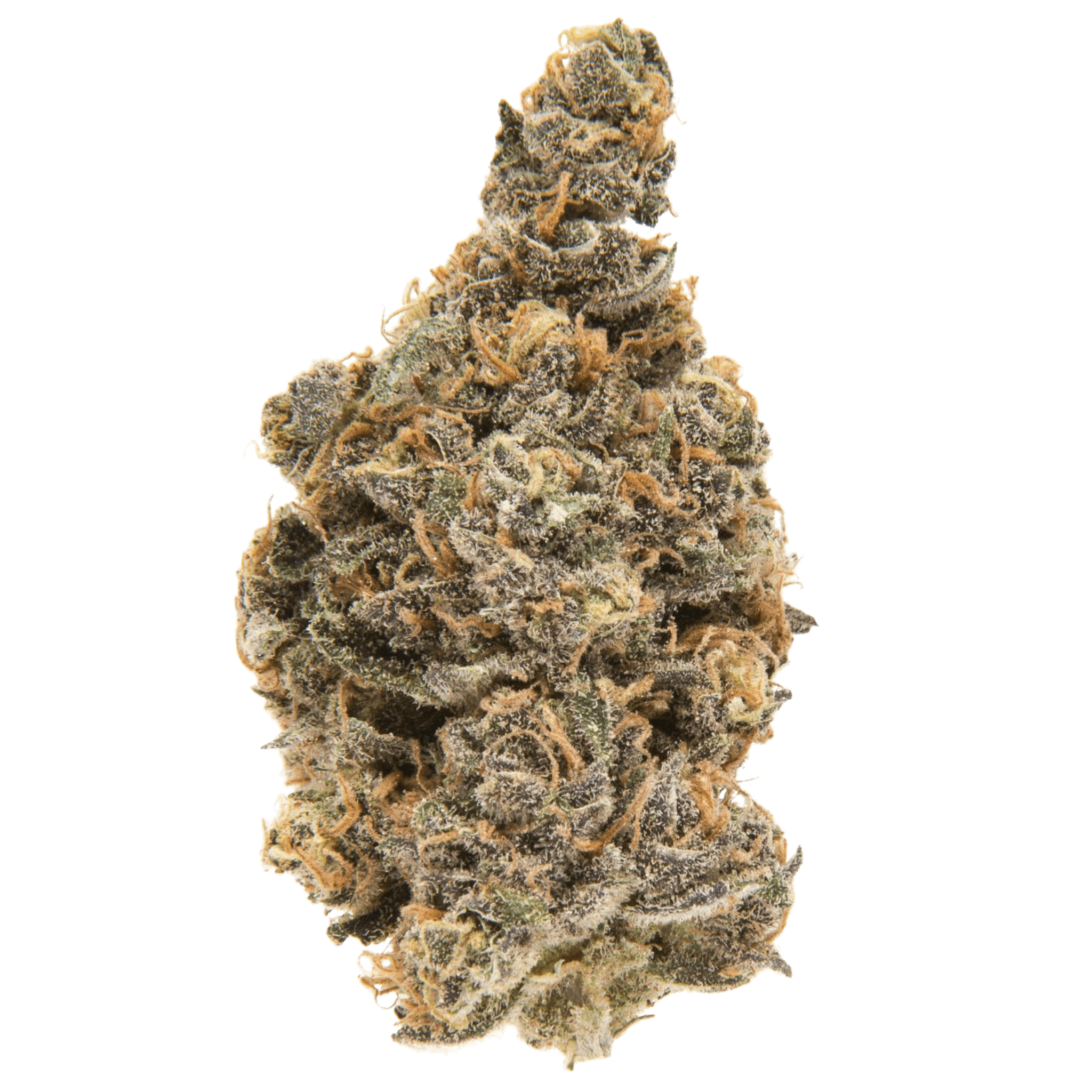 Blueberry Muffin Exotic THCA Flower 27.52%