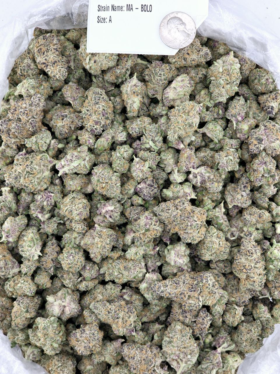 Cali Farms Bulk Exotics