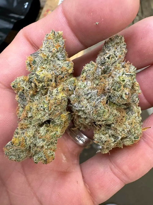 Cap Junky Exotic THCA Flower 27.85%