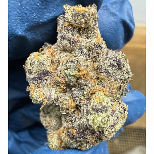Churro Gelato Exotic THCA Flower 28.17%