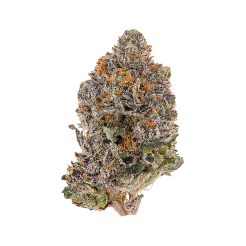 Kinglato THCA Flower | Indica-Leaning Hybrid