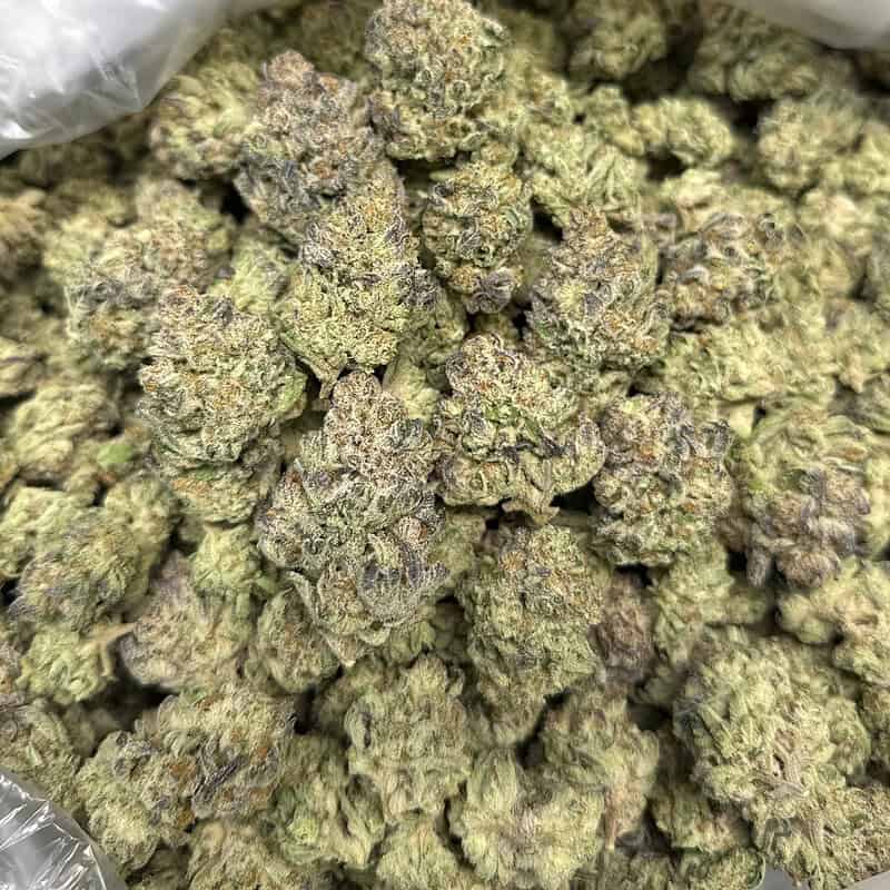 Guava Cookies Exotic THCA Flower 31.94%