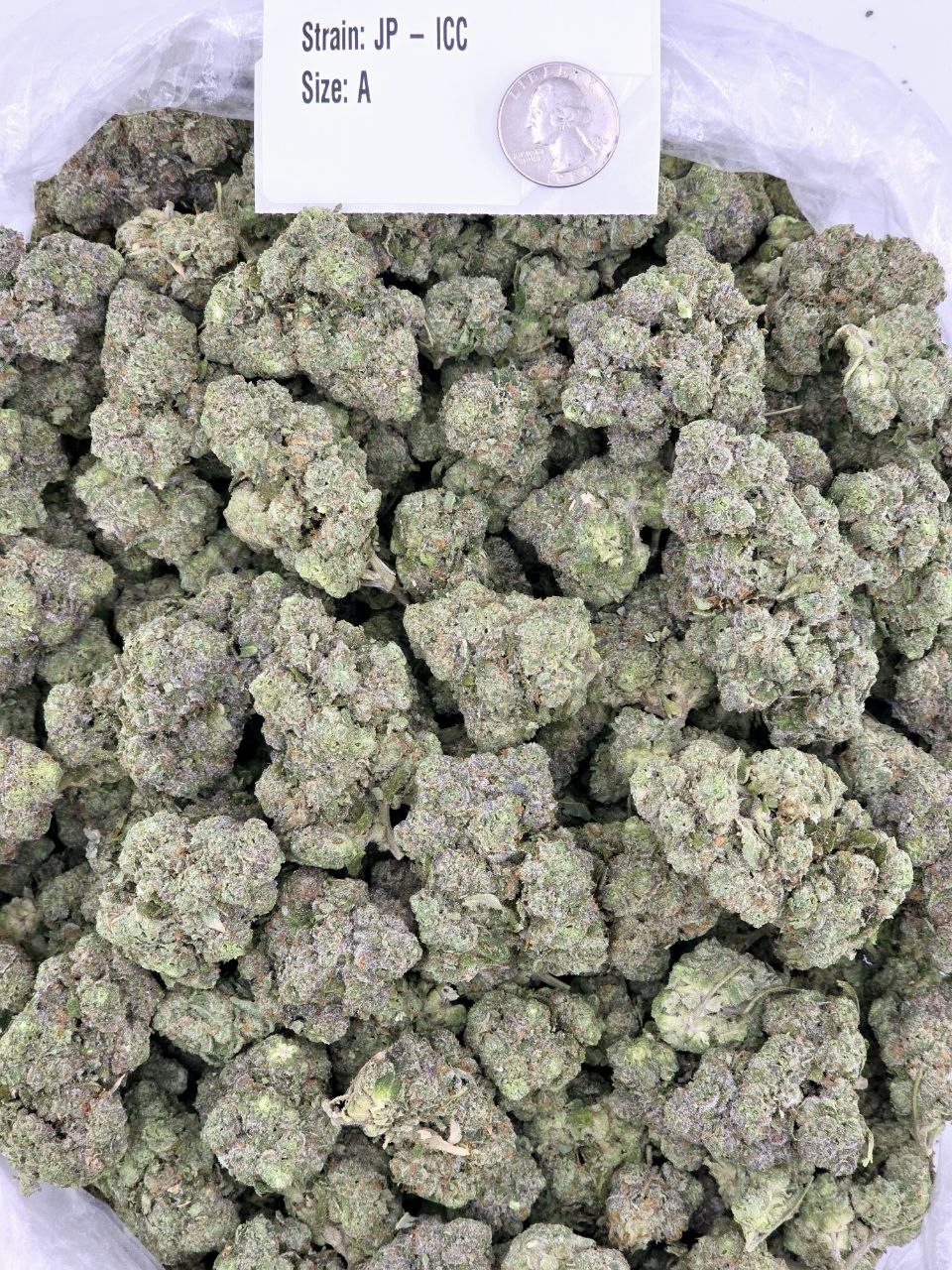 Cali Farms Bulk Exotics