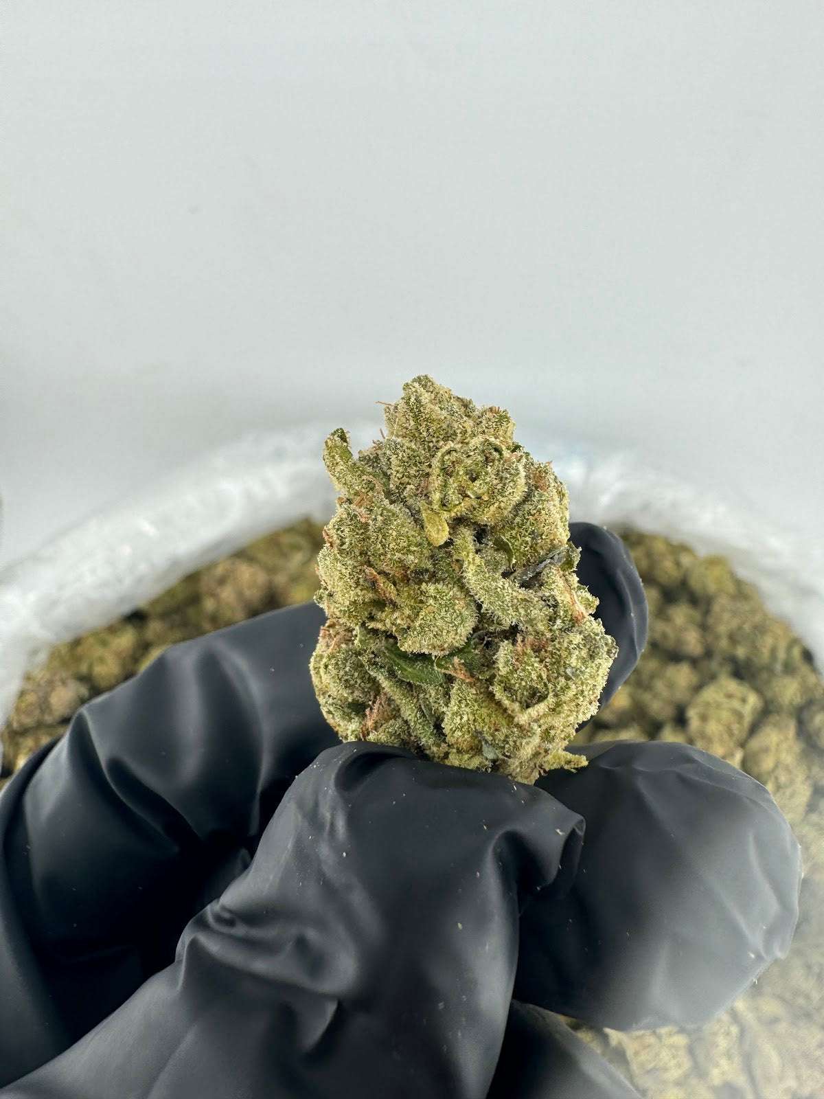 Bulk THCA Flower Pounds | Grape Jolly Ranch | 27.72% Indica