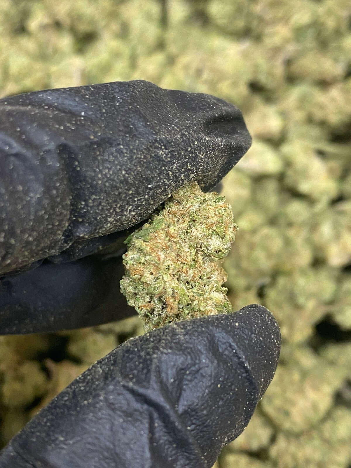 Cheap THCA Smalls Ounce