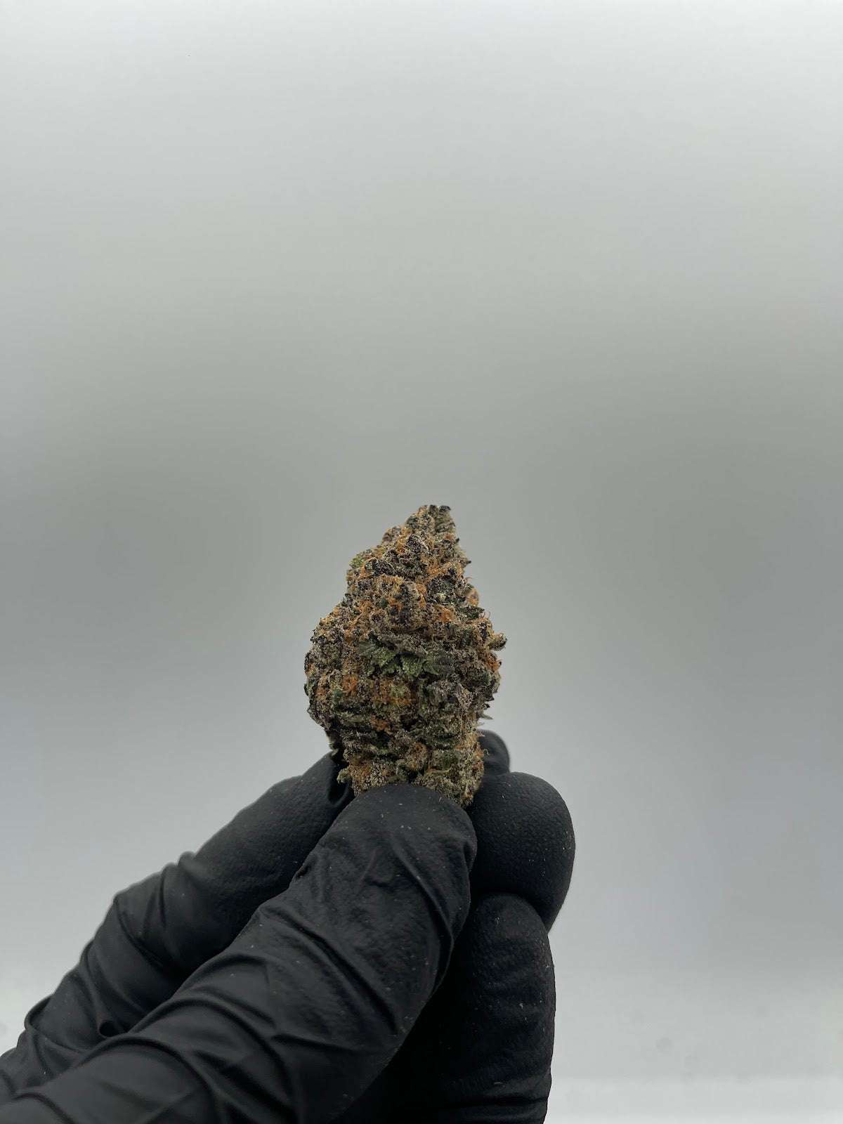 Bulk THCA Flower Pounds | Jelly Zonut | 32.65% Sativa