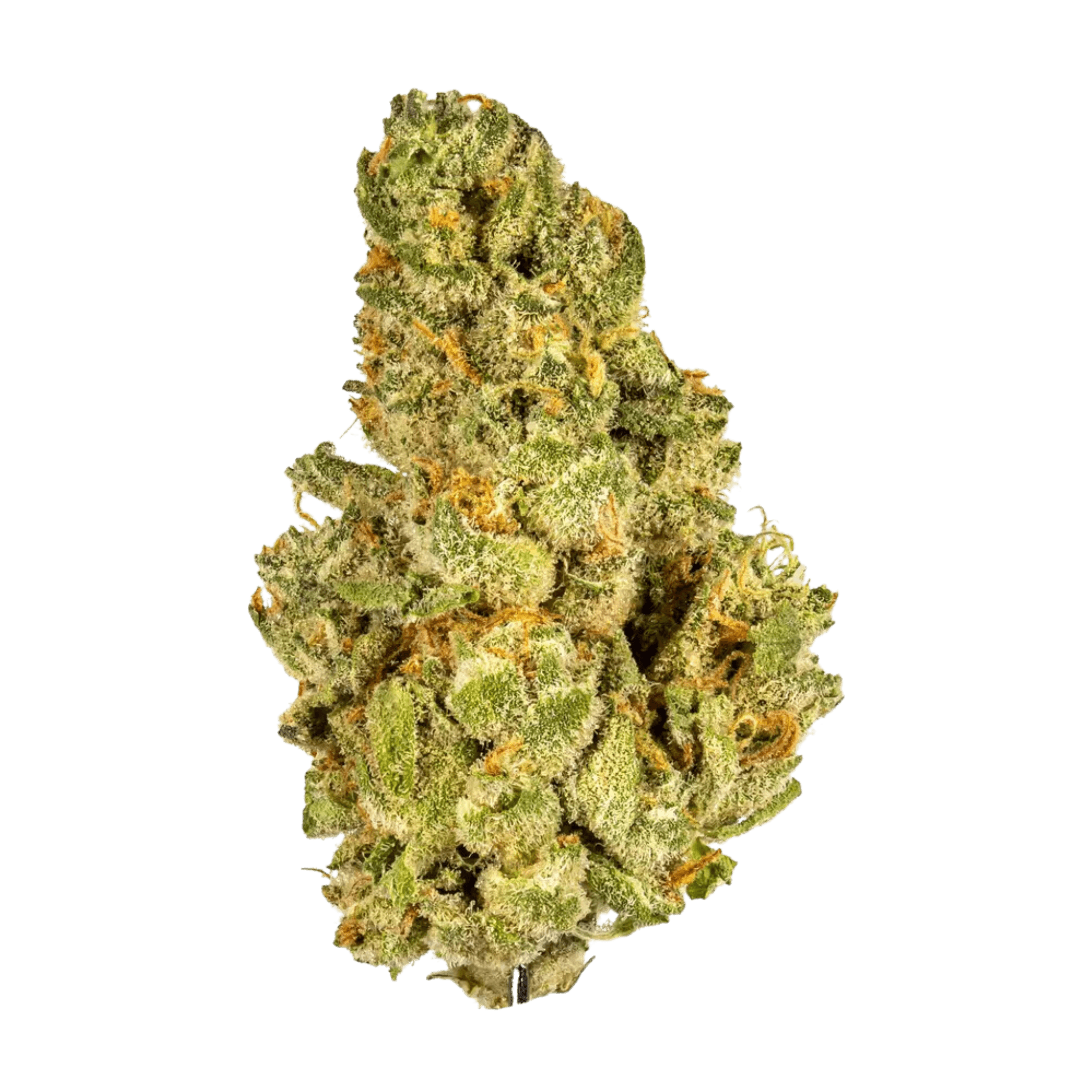 Kush Mints THCA Flower 36.26%